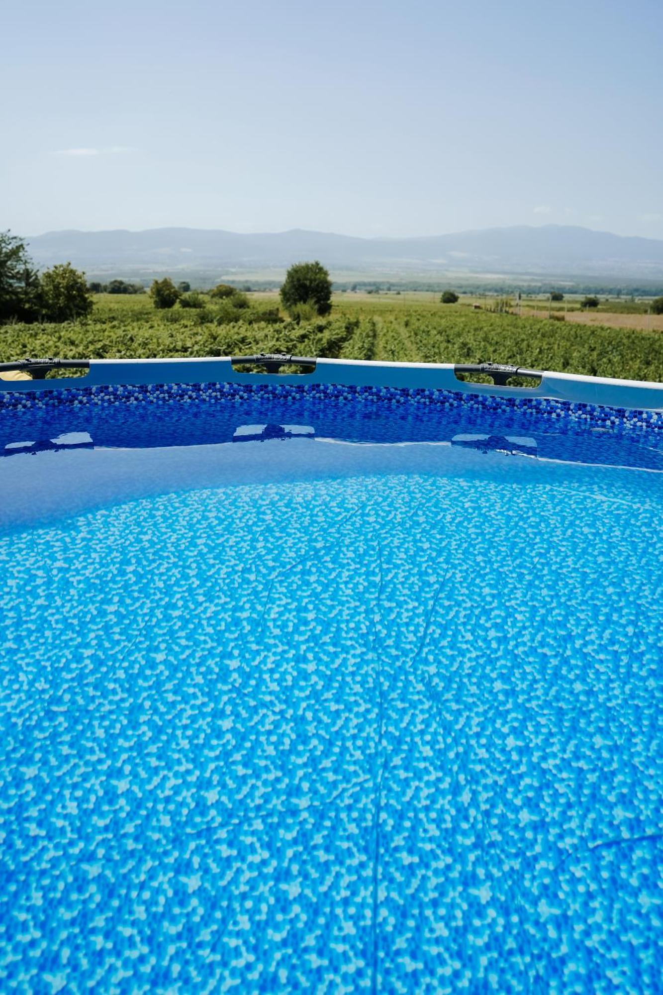 Chateau Gremisio Kvareli Ngoại thất bức ảnh
